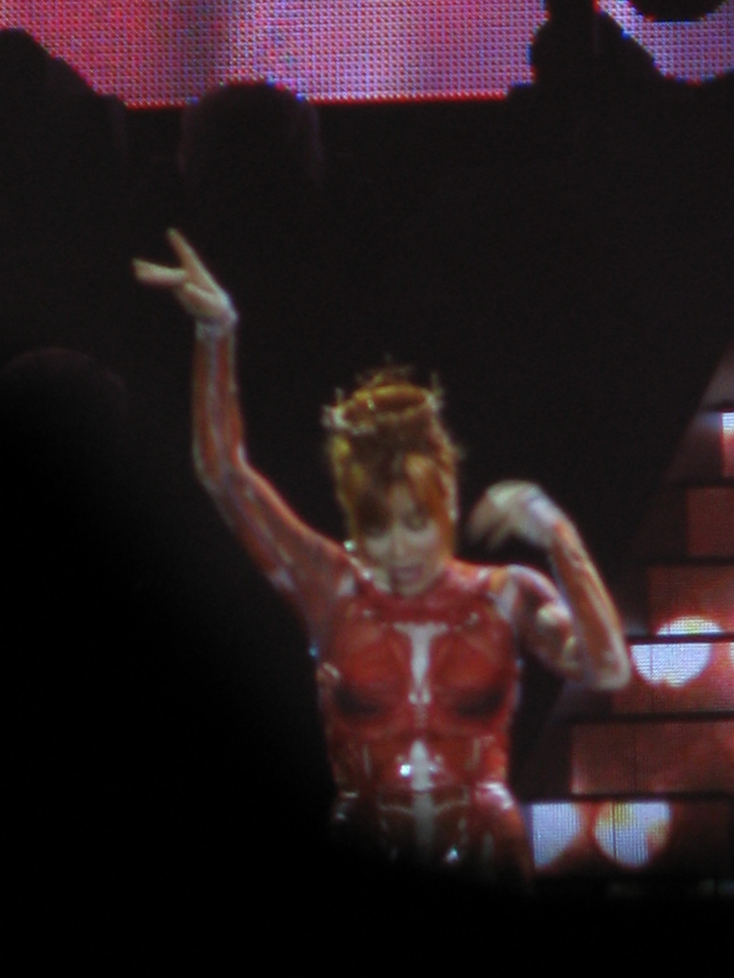 mylene-farmer-tour-2009-photo-fan-109